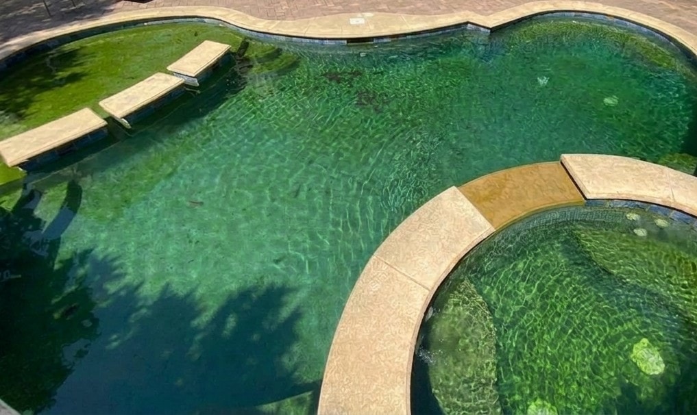 Pool before deep cleaning